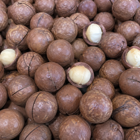 Macadamia Nuts