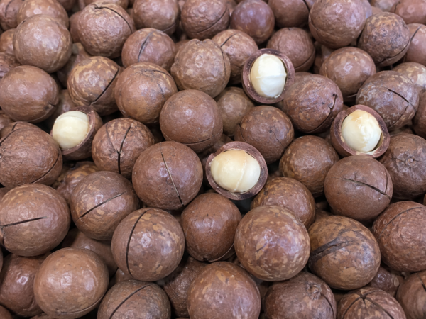 Macadamia Nuts